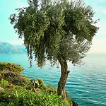 Corfu Imperial, A Grecotel To Live Feriested Limni (Corfu)