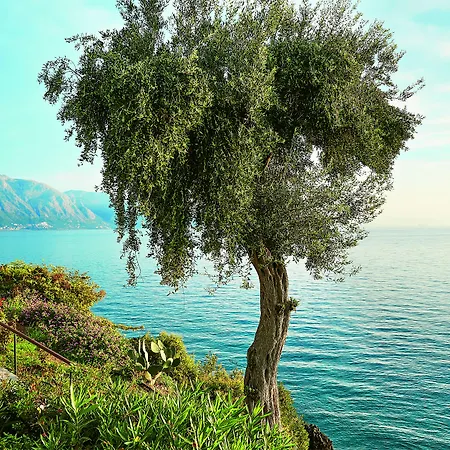 Corfu Imperial, A Grecotel To Live リゾート Limni (Corfu)